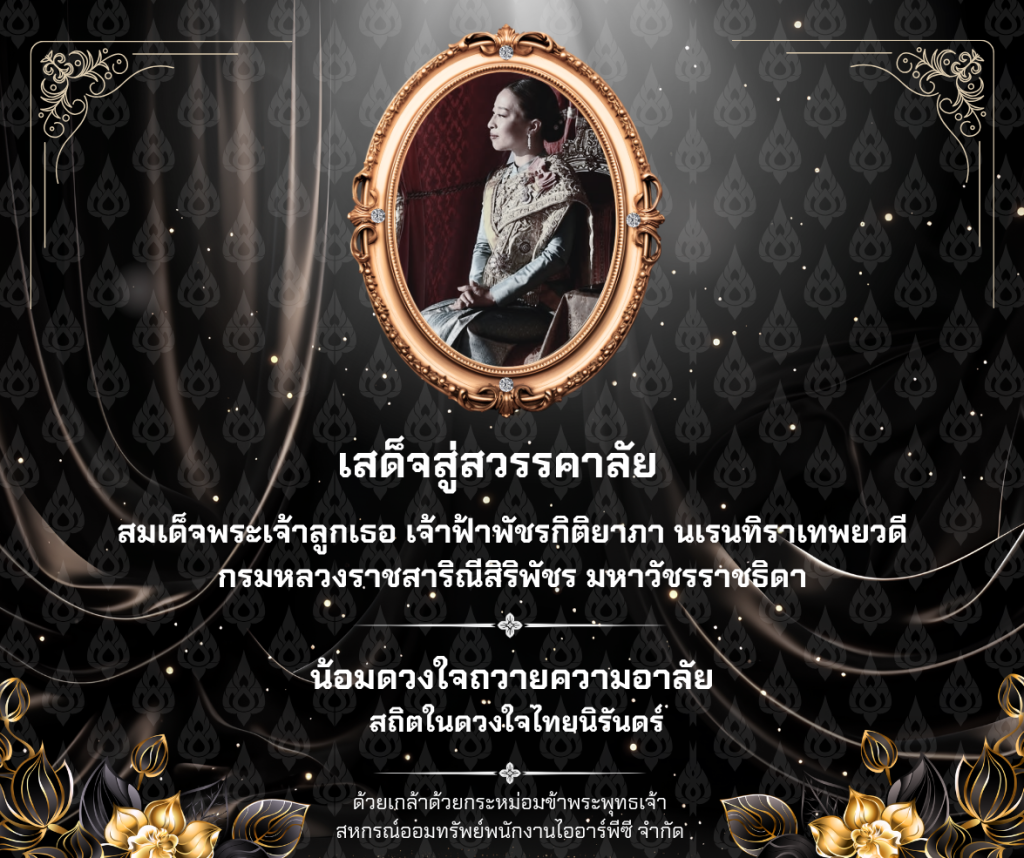11 มิย